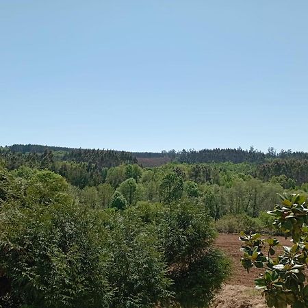 OrdesA Casa Do San Paio De Buscasアパートメント エクステリア 写真