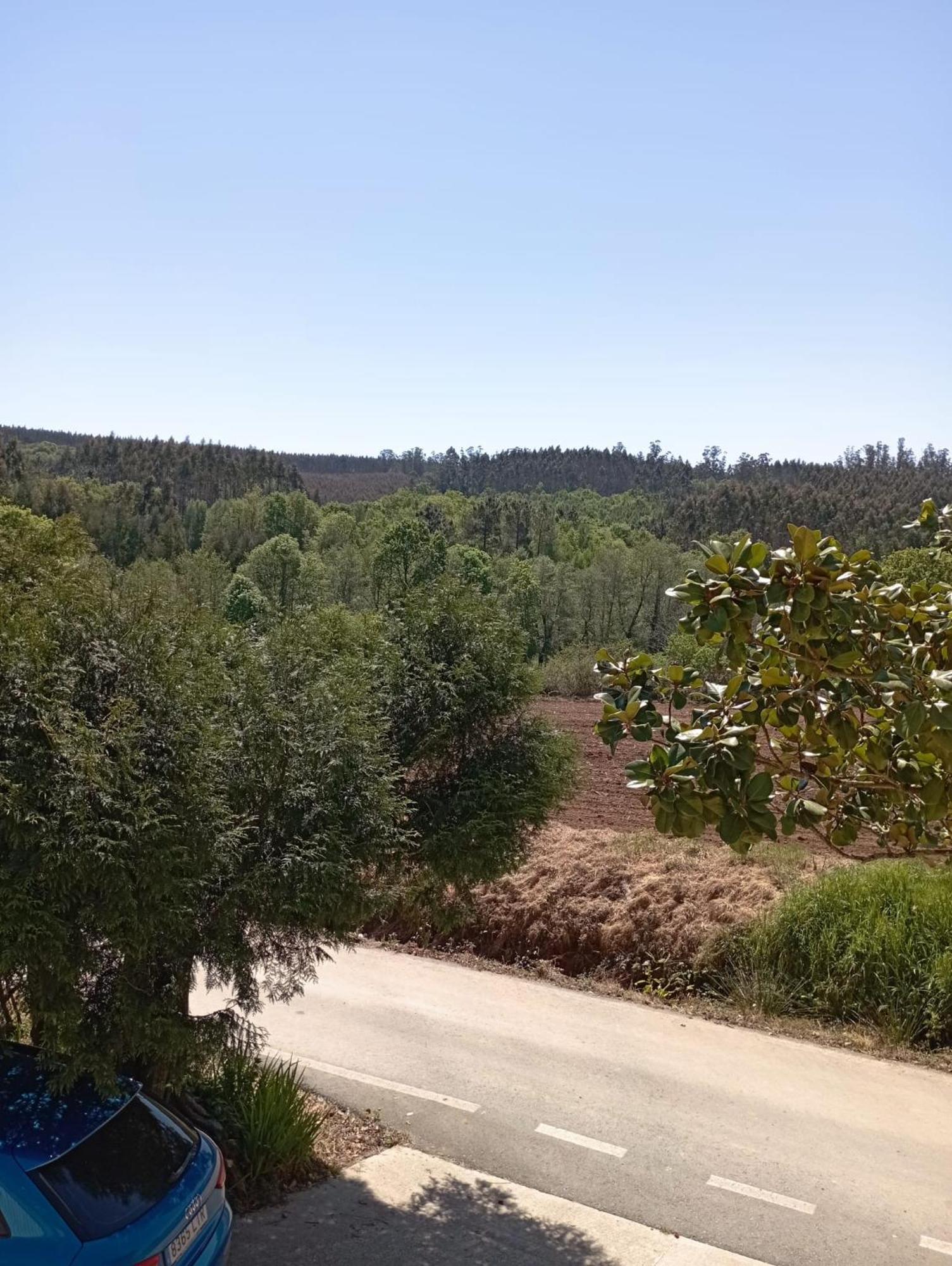 OrdesA Casa Do San Paio De Buscasアパートメント エクステリア 写真