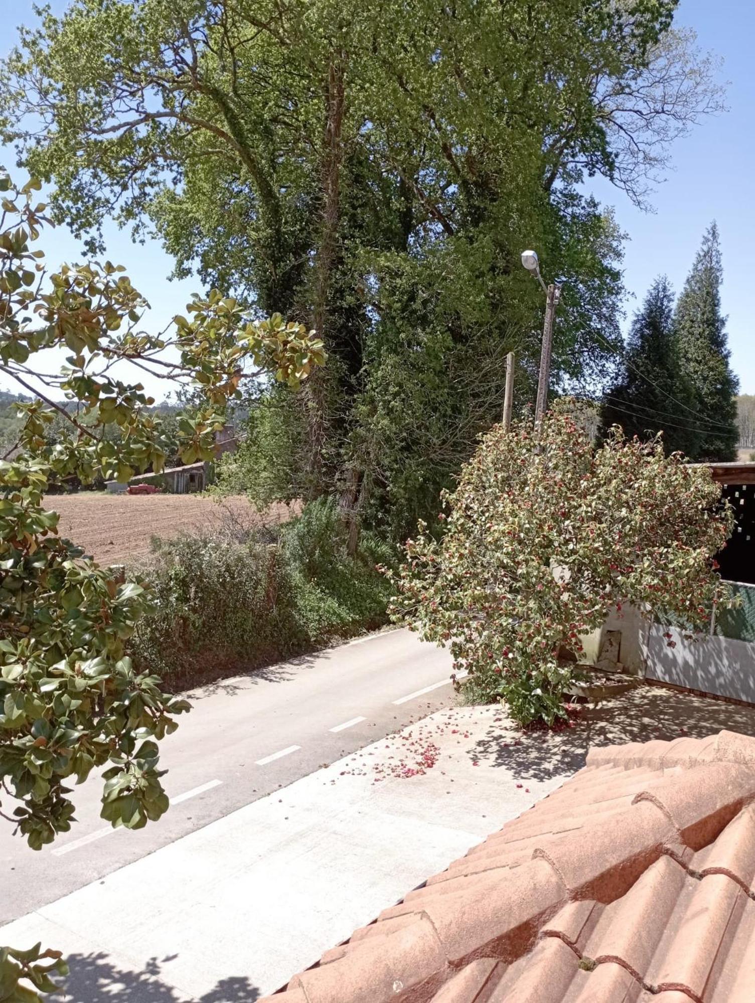 OrdesA Casa Do San Paio De Buscasアパートメント エクステリア 写真
