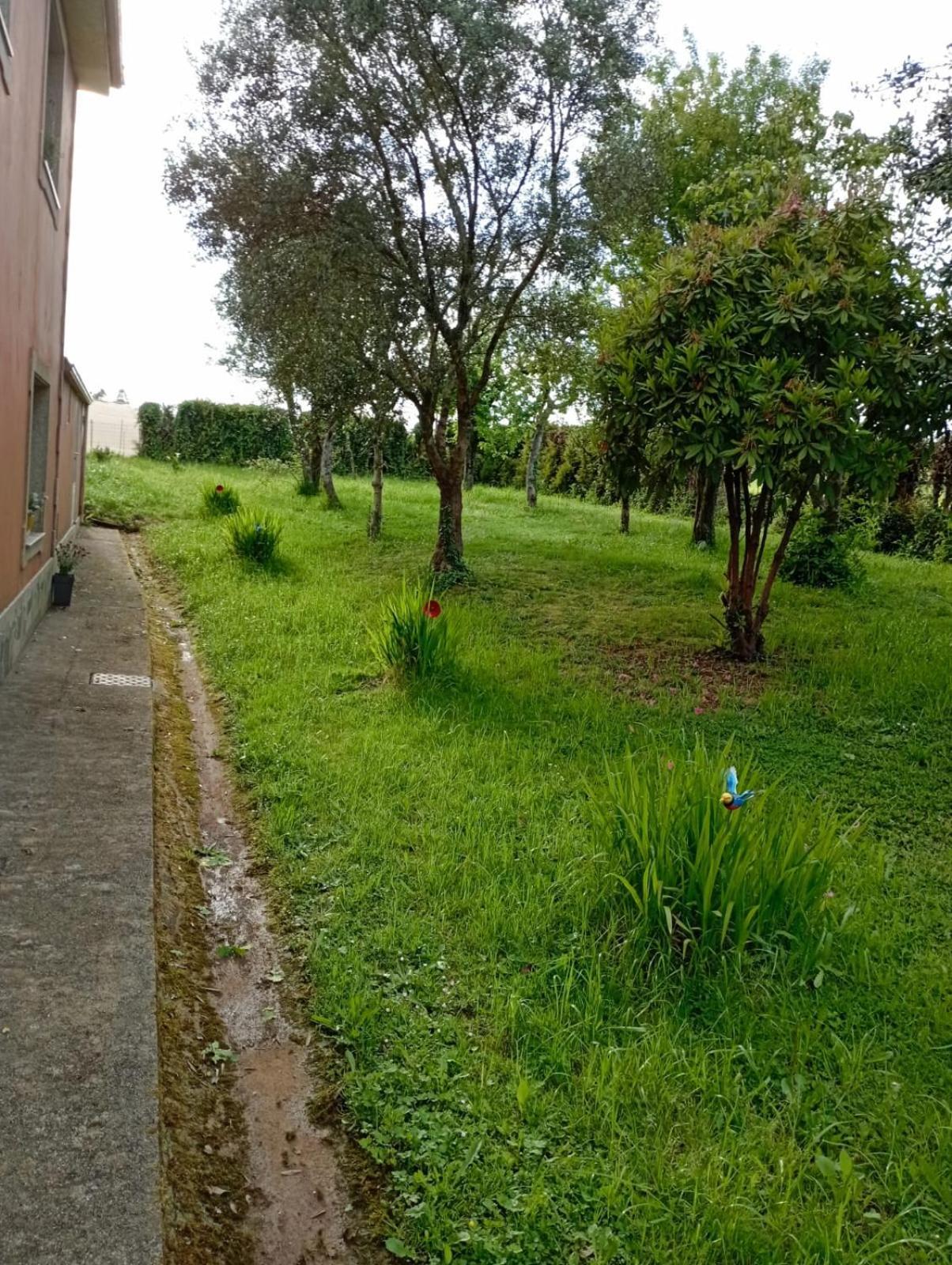 OrdesA Casa Do San Paio De Buscasアパートメント エクステリア 写真