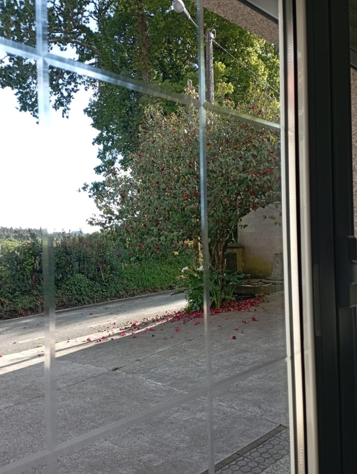 OrdesA Casa Do San Paio De Buscasアパートメント エクステリア 写真