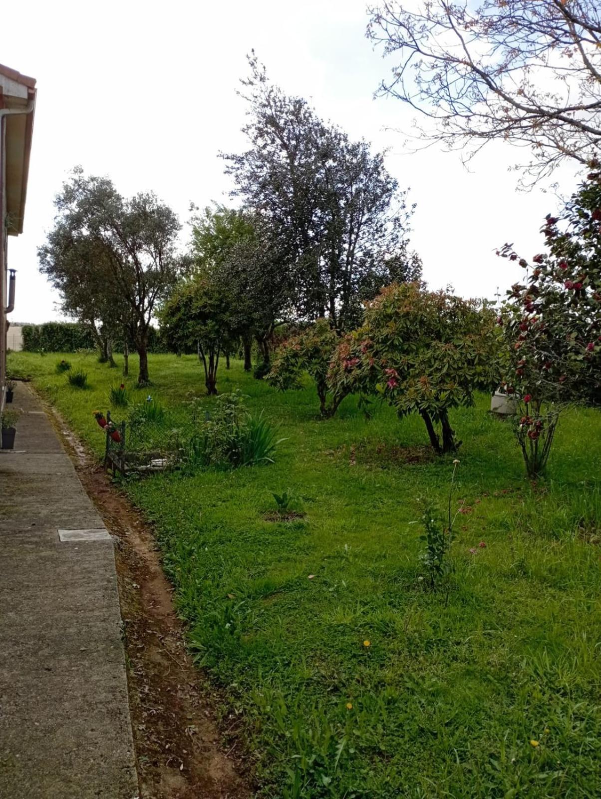 OrdesA Casa Do San Paio De Buscasアパートメント エクステリア 写真