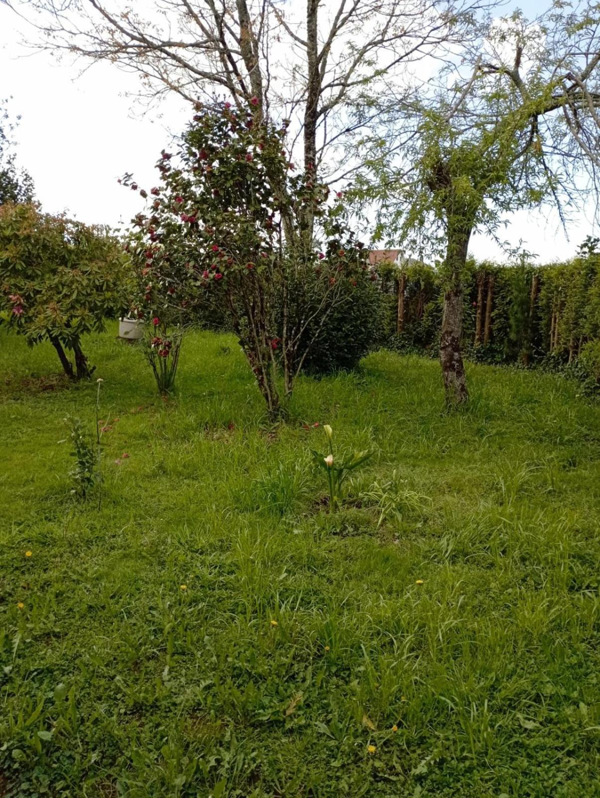 OrdesA Casa Do San Paio De Buscasアパートメント エクステリア 写真